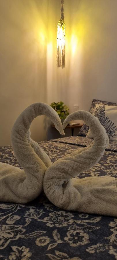 Casa Hostel San Andres Экстерьер фото